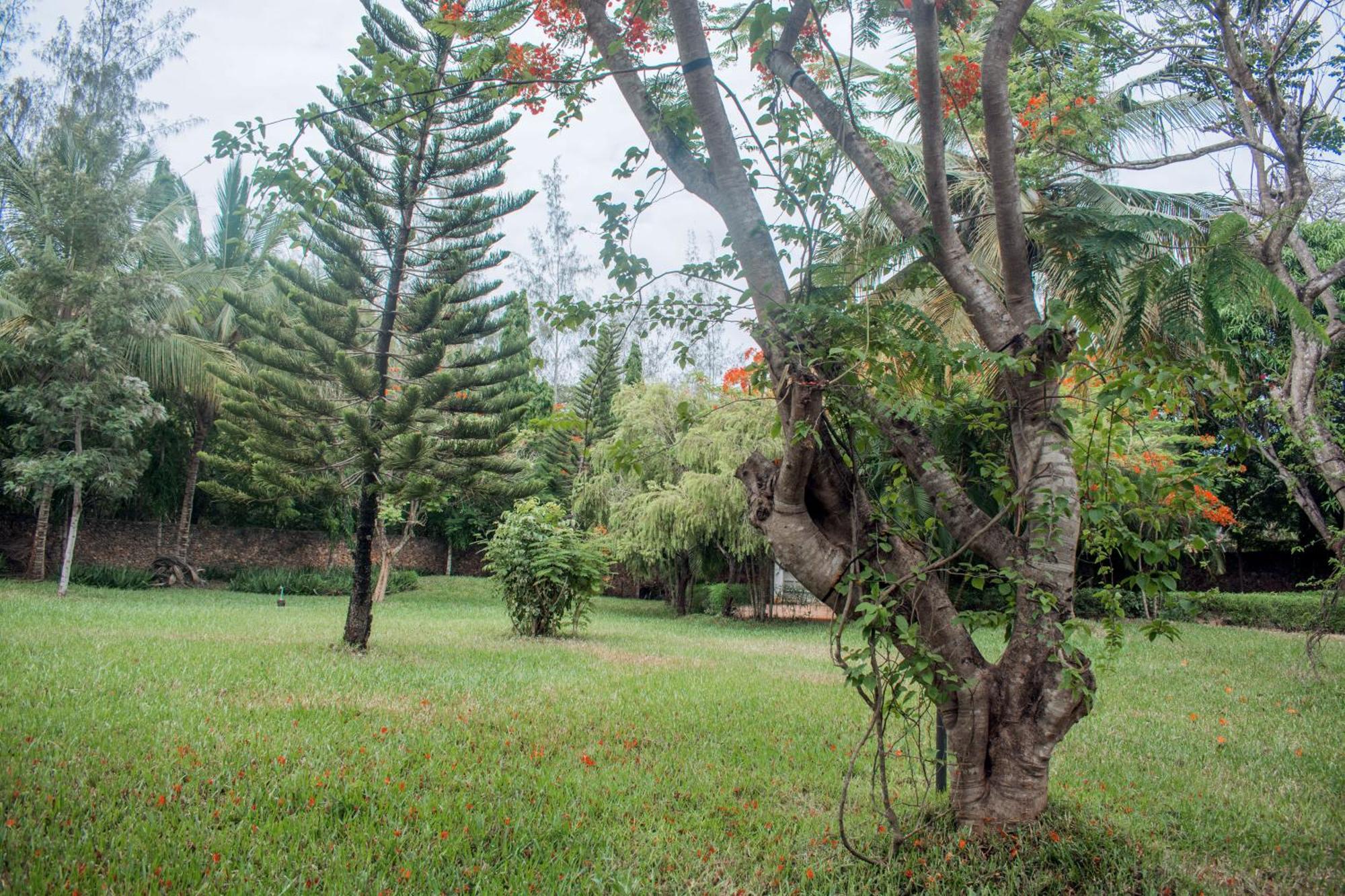 Kijani Cottages In Diani Diani Beach Extérieur photo