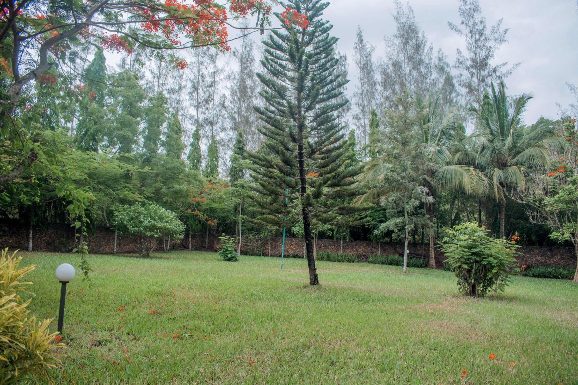 Kijani Cottages In Diani Diani Beach Extérieur photo